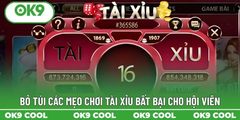 Bỏ túi các mẹo chơi Tài Xỉu bất bại cho hội viên Bỏ túi các mẹo chơi Tài Xỉu bất bại cho hội viên